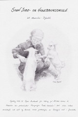 24_fjosstell