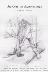 3_treplanting_m-2